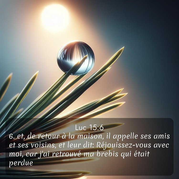 Segond Évangile selon Luc 15:6