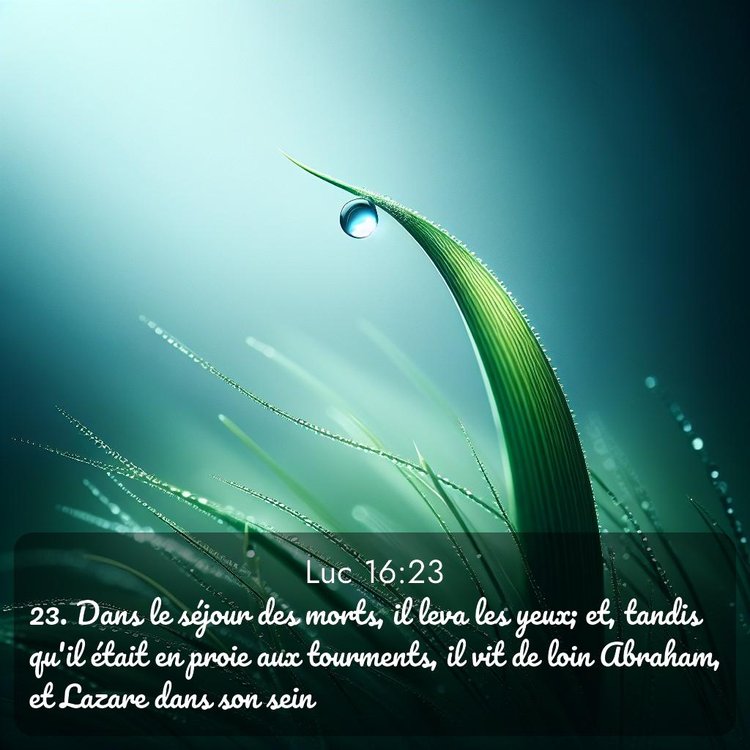 image nature avec verset biblique de la Bible