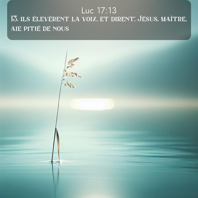 Segond Évangile selon Luc 17:13