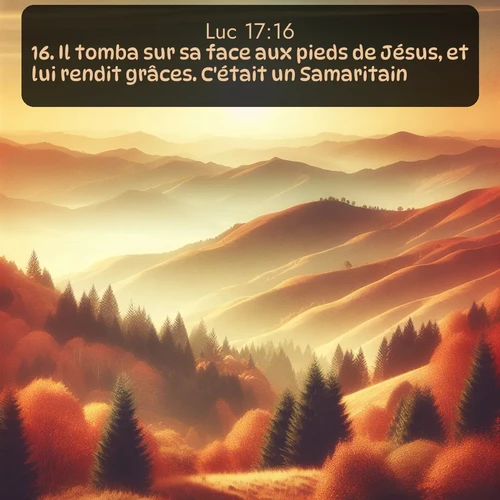 Segond Évangile selon Luc  ; image nature: image avec le verset biblique :Il tomba sur sa face aux pieds de Jésus, et lui rendit grâces. C&#039;était un Samaritain. ;  ; 17:16