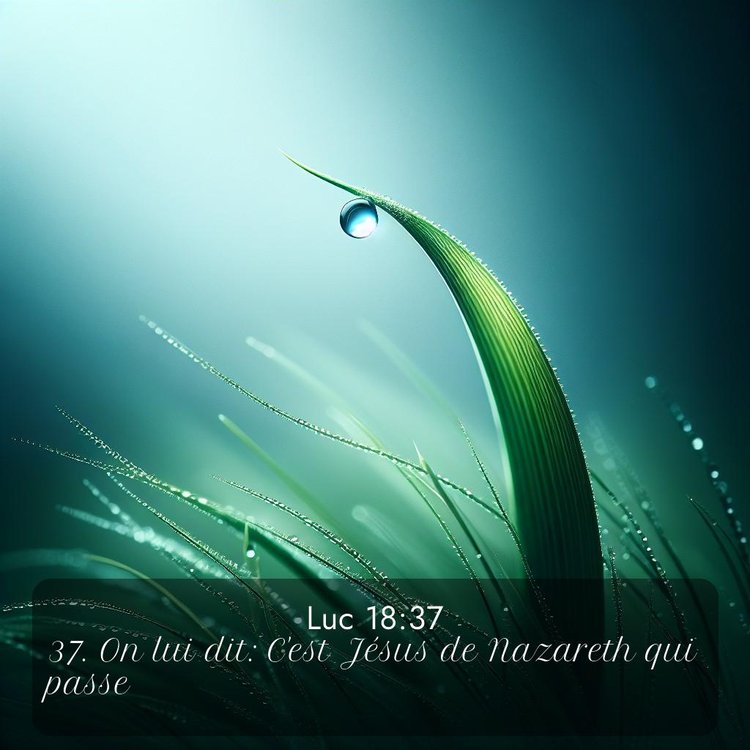 image nature avec verset biblique de la Bible