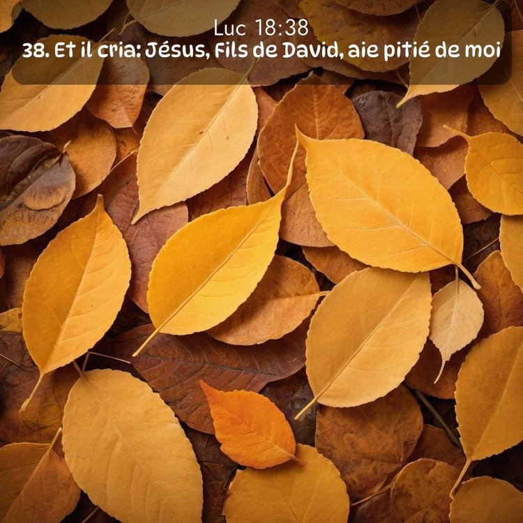 image nature avec verset biblique de la Bible