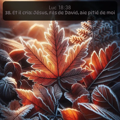 Segond Évangile selon Luc  ; image nature: image avec le verset biblique :Et il cria: Jésus, Fils de David, aie pitié de moi! ;  ; 18:38