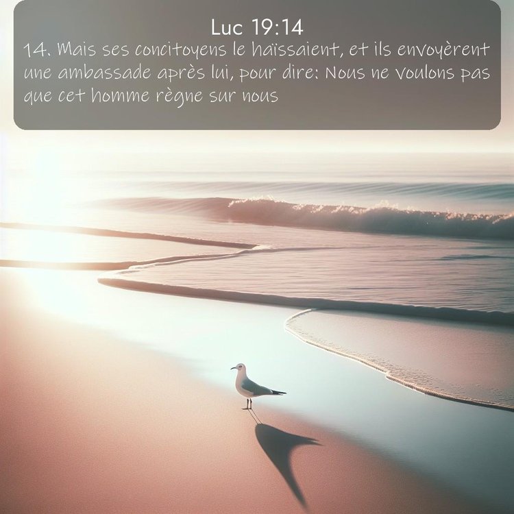 Segond Évangile selon Luc 19:14