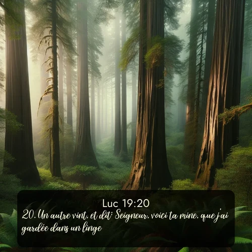 Segond Évangile selon Luc  ; image nature: image avec le verset biblique :Un autre vint, et dit: Seigneur, voici ta mine, que j&#039;ai gardée dans un linge; ;  ; 19:20