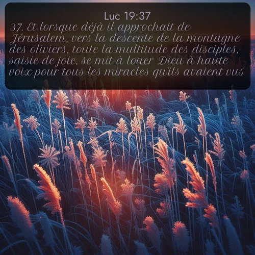 Segond Évangile selon Luc  ; image nature: image avec le verset biblique :Et lorsque déjà il approchait de Jérusalem, vers la descente de la montagne des oliviers, toute la multitude des disciples, saisie de joie, se mit à louer Dieu à haute voix pour tous les miracles qu&#039;ils avaient vus. ;  ; 19:37
