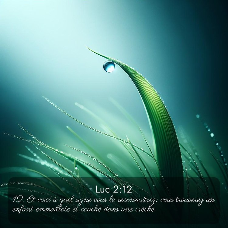 image nature avec verset biblique de la Bible