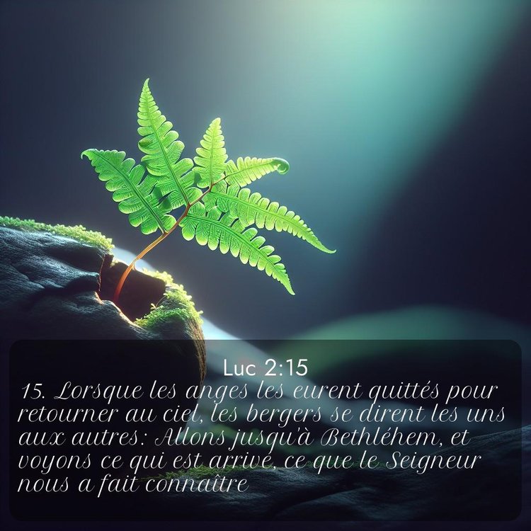 Segond Évangile selon Luc 2:15