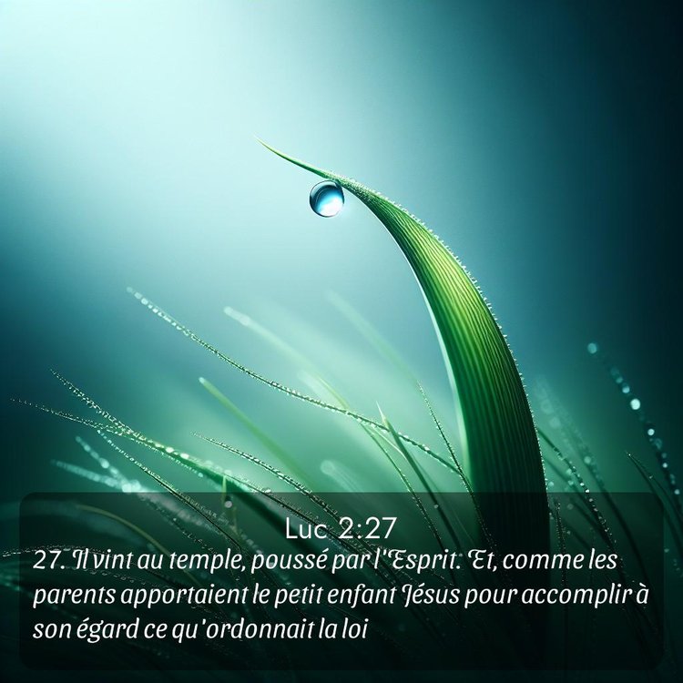 image nature avec verset biblique de la Bible