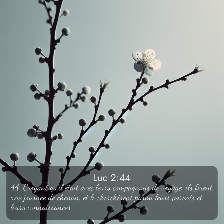 image nature avec verset biblique de la Bible