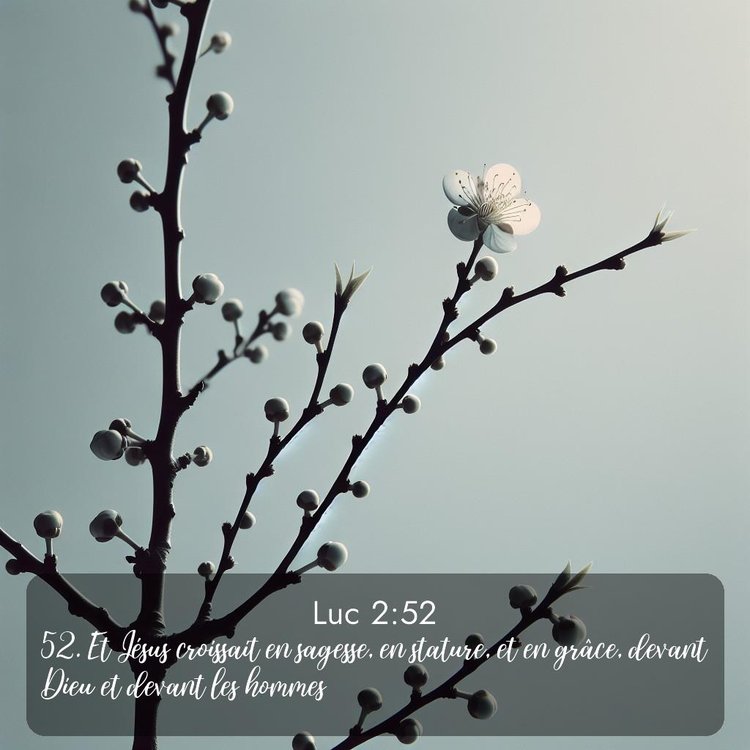 image nature avec verset biblique de la Bible