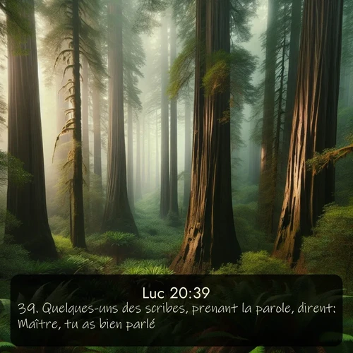 Segond Évangile selon Luc  ; image nature: image avec le verset biblique :Quelques-uns des scribes, prenant la parole, dirent: Maître, tu as bien parlé. ;  ; 20:39