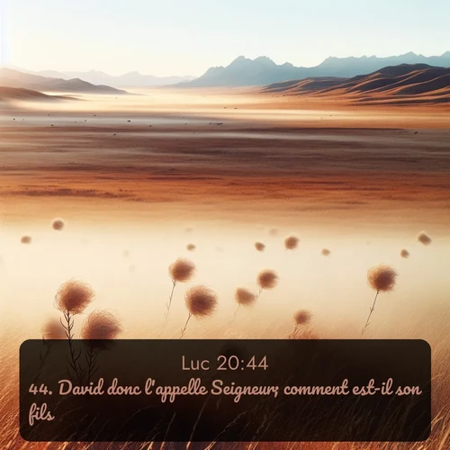 Segond Évangile selon Luc  ; image nature: image avec le verset biblique :David donc l&#039;appelle Seigneur; comment est-il son fils? ;  ; 20:44