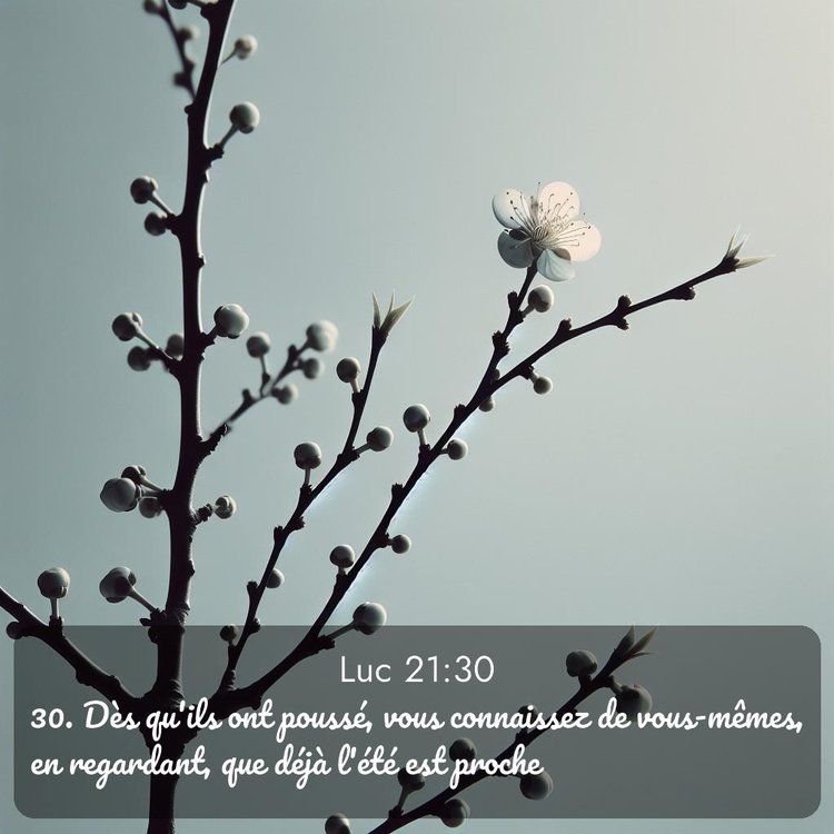 image nature avec verset biblique de la Bible