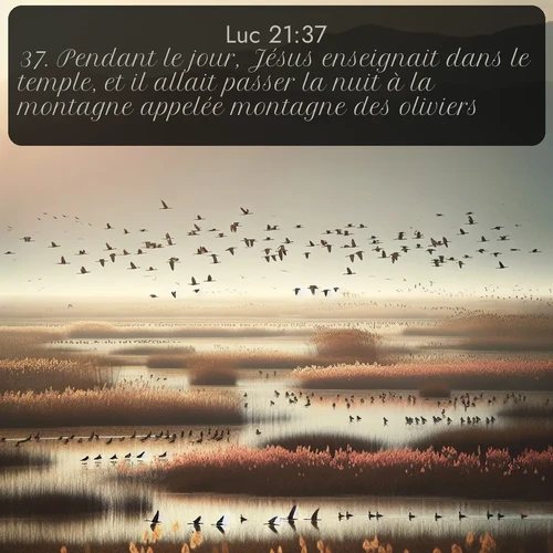 Segond Évangile selon Luc  ; image nature: image avec le verset biblique :Pendant le jour, Jésus enseignait dans le temple, et il allait passer la nuit à la montagne appelée montagne des oliviers. ;  ; 21:37