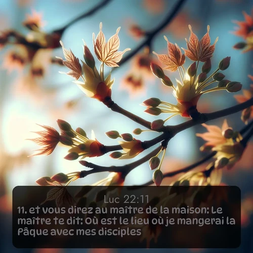 Segond Évangile selon Luc  ; image nature: image avec le verset biblique :et vous direz au maître de la maison: Le maître te dit: Où est le lieu où je mangerai la Pâque avec mes disciples? ;  ; 22:11