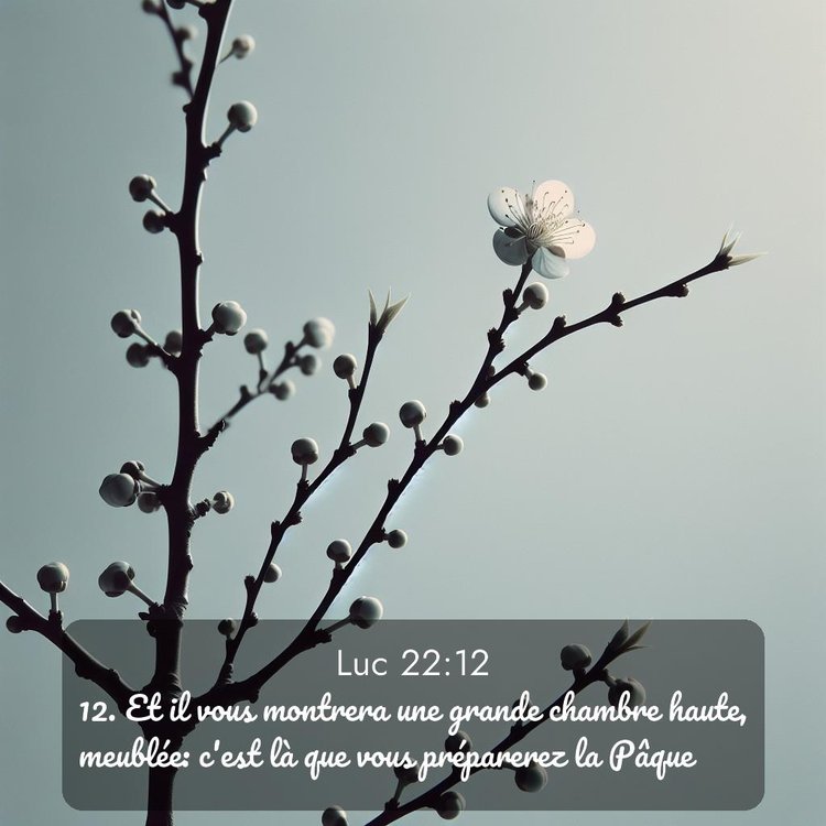 image nature avec verset biblique de la Bible