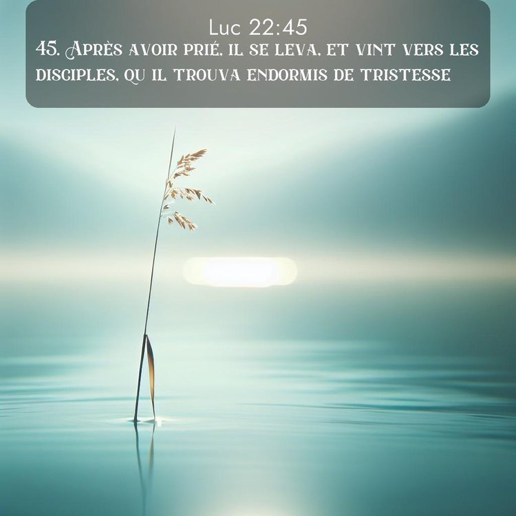 image nature avec verset biblique de la Bible