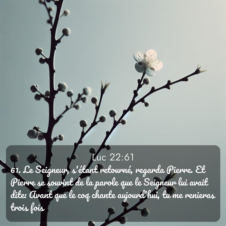image nature avec verset biblique de la Bible