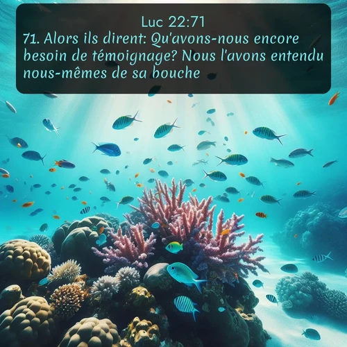 Segond Évangile selon Luc  ; image nature: image avec le verset biblique :Alors ils dirent: Qu&#039;avons-nous encore besoin de témoignage? Nous l&#039;avons entendu nous-mêmes de sa bouche. ;  ; 22:71