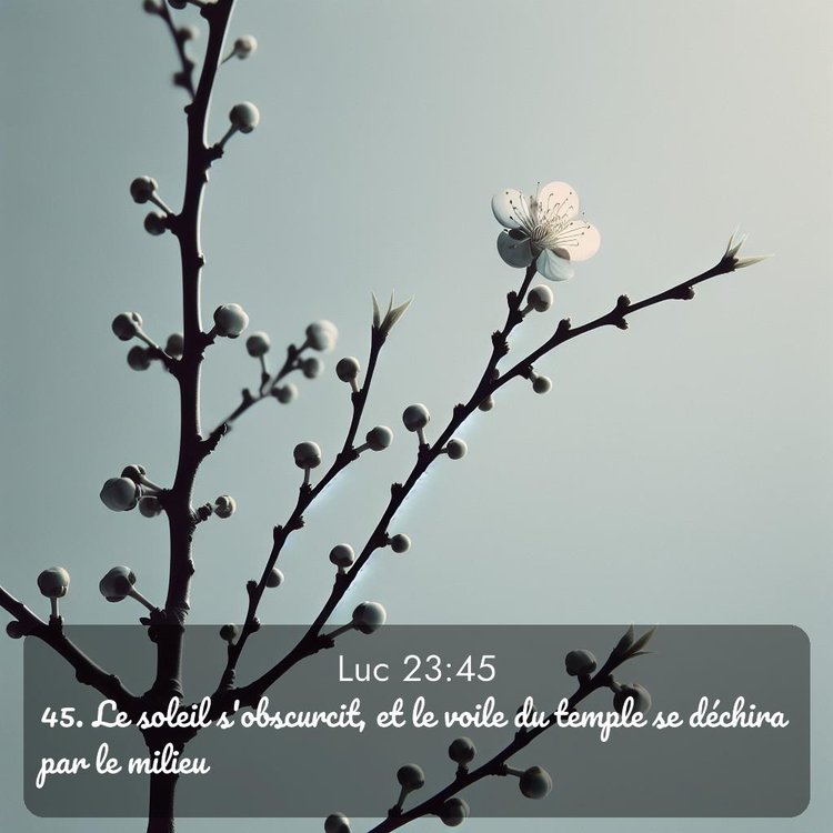 image nature avec verset biblique de la Bible