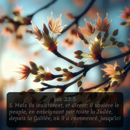Segond Évangile selon Luc  ; image nature: image avec le verset biblique :Mais ils insistèrent, et dirent: Il soulève le peuple, en enseignant par toute la Judée, depuis la Galilée, où il a commencé, jusqu&#039;ici. ;  ; 23:5