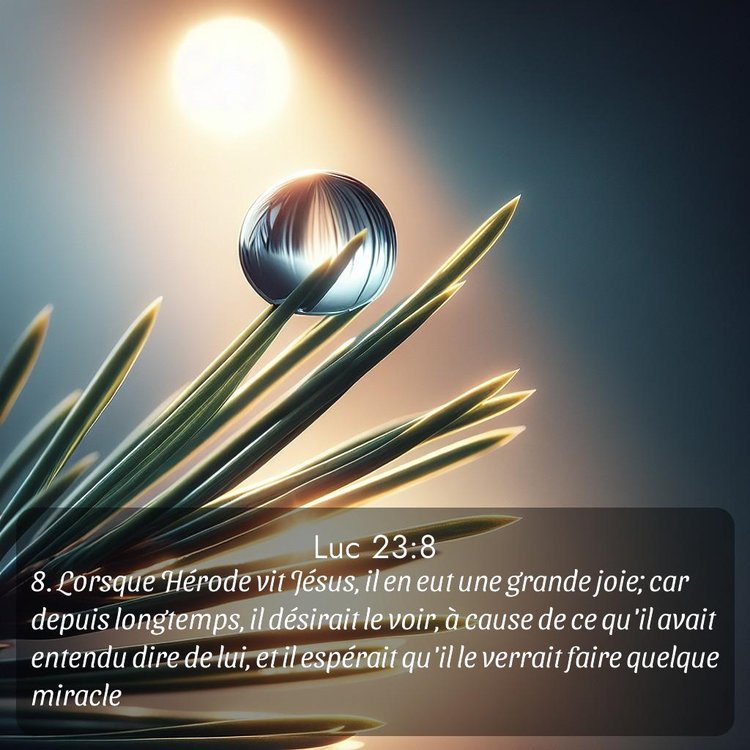 image nature avec verset biblique de la Bible