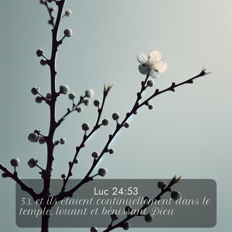 image nature avec verset biblique de la Bible