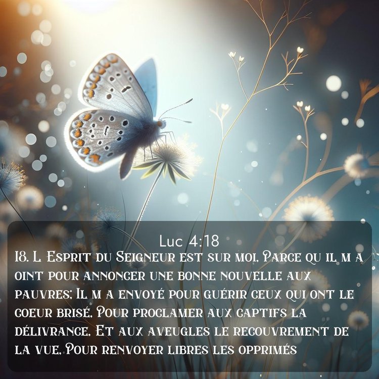 Segond Évangile selon Luc 4:18