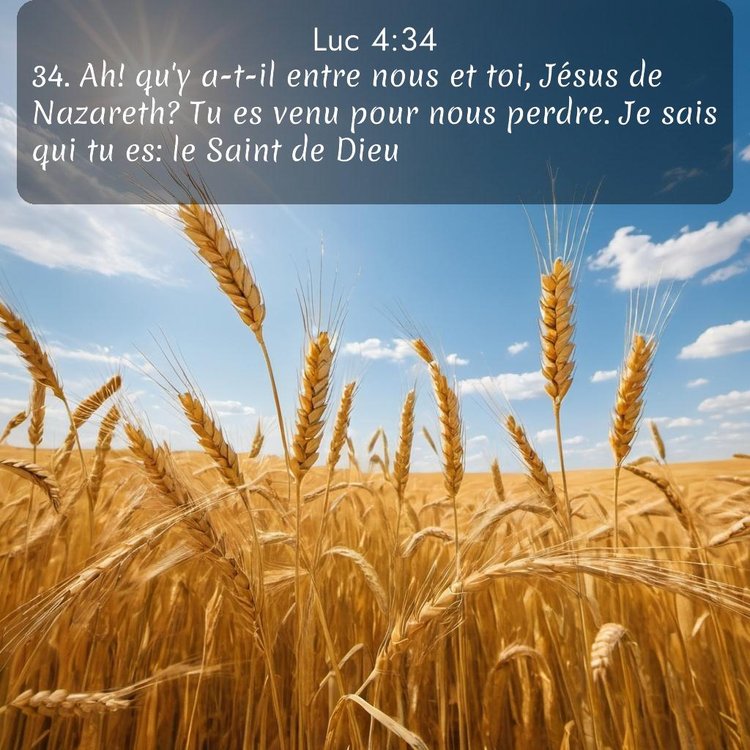 Segond Évangile selon Luc 4:34