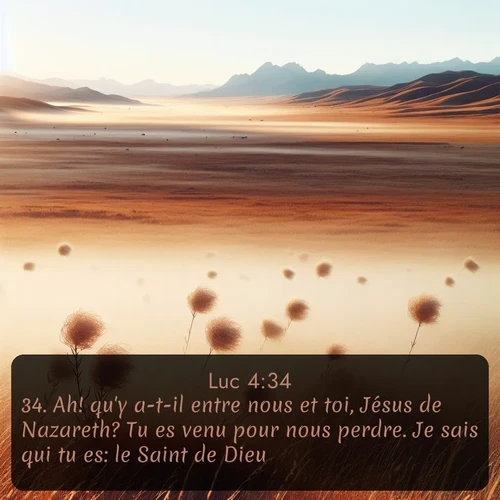 Segond Évangile selon Luc  ; image nature: image avec le verset biblique :Ah! qu&#039;y a-t-il entre nous et toi, Jésus de Nazareth? Tu es venu pour nous perdre. Je sais qui tu es: le Saint de Dieu. ;  ; 4:34