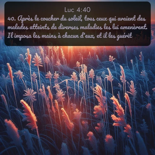 Segond Évangile selon Luc  ; image nature: image avec le verset biblique :Après le coucher du soleil, tous ceux qui avaient des malades atteints de diverses maladies les lui amenèrent. Il imposa les mains à chacun d&#039;eux, et il les guérit. ;  ; 4:40
