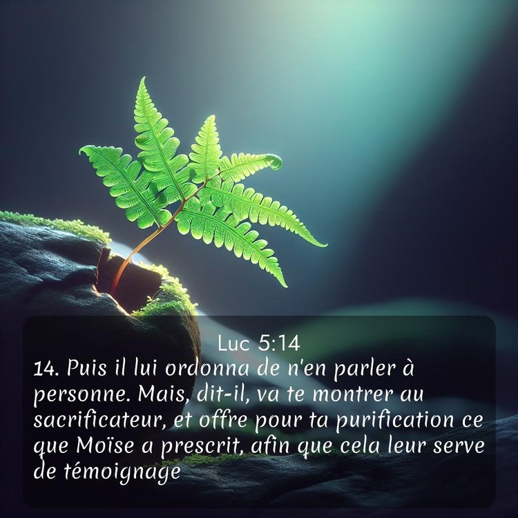 Segond Évangile selon Luc 5:14