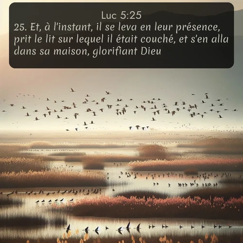 Segond Évangile selon Luc  ; image nature: image avec le verset biblique :Et, à l&#039;instant, il se leva en leur présence, prit le lit sur lequel il était couché, et s&#039;en alla dans sa maison, glorifiant Dieu. ;  ; 5:25