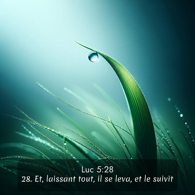 Segond Évangile selon Luc 5:28