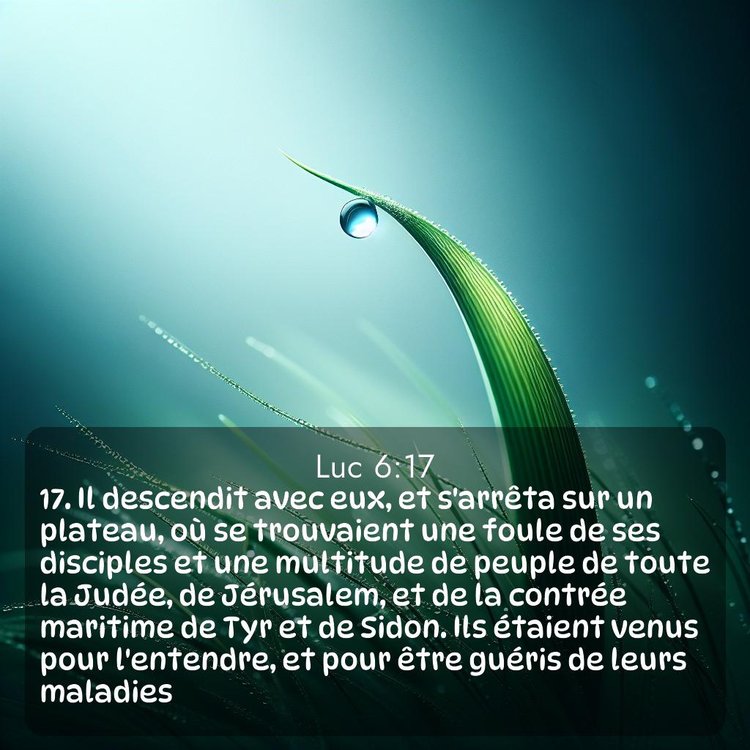 Segond Évangile selon Luc 6:17