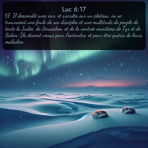 Segond Évangile selon Luc  ; image nature: image avec le verset biblique :Il descendit avec eux, et s&#039;arrêta sur un plateau, où se trouvaient une foule de ses disciples et une multitude de peuple de toute la Judée, de Jérusalem, et de la contrée maritime de Tyr et de Sidon. Ils étaient venus pour l&#039;entendre, et pour être guéris de leurs maladies. ;  ; 6:17