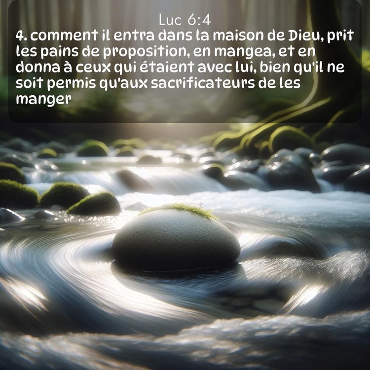 Segond Évangile selon Luc 6:4