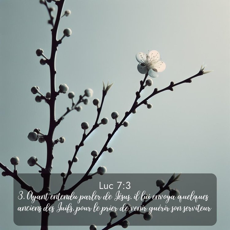 image nature avec verset biblique de la Bible
