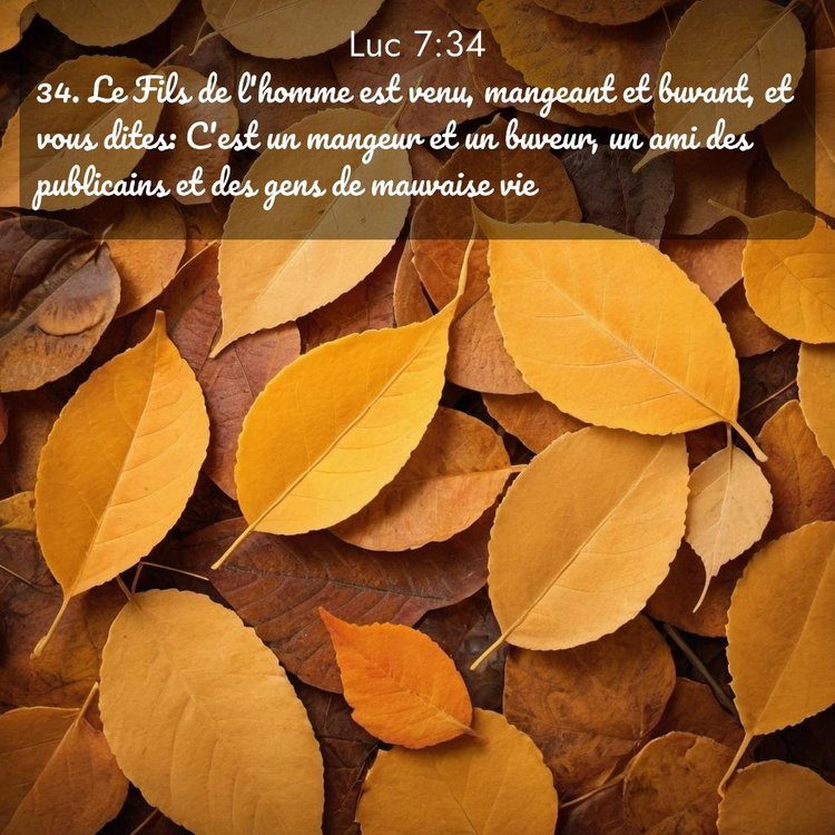 image nature avec verset biblique de la Bible