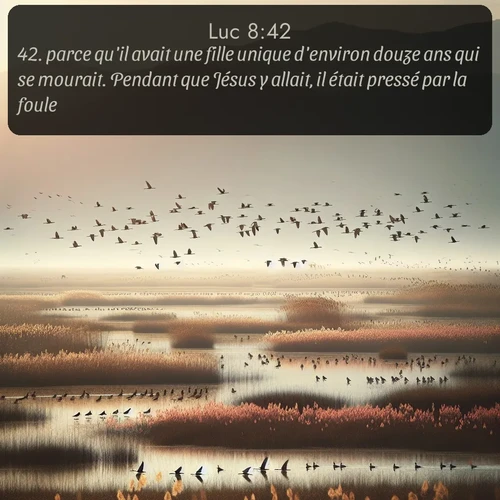 Segond Évangile selon Luc  ; image nature: image avec le verset biblique :parce qu&#039;il avait une fille unique d&#039;environ douze ans qui se mourait. Pendant que Jésus y allait, il était pressé par la foule. ;  ; 8:42