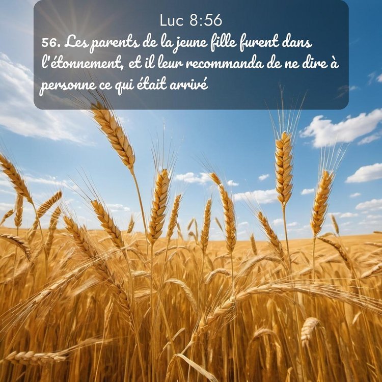 image nature avec verset biblique de la Bible