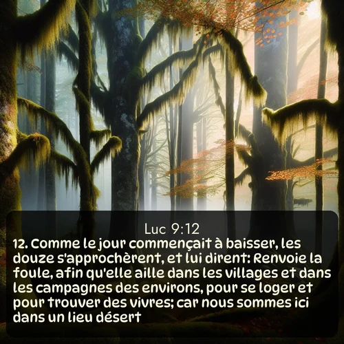 Segond Évangile selon Luc  ; image nature: image avec le verset biblique :Comme le jour commençait à baisser, les douze s&#039;approchèrent, et lui dirent: Renvoie la foule, afin qu&#039;elle aille dans les villages et dans les campagnes des environs, pour se loger et pour trouver des vivres; car nous sommes ici dans un lieu désert. ;  ; 9:12