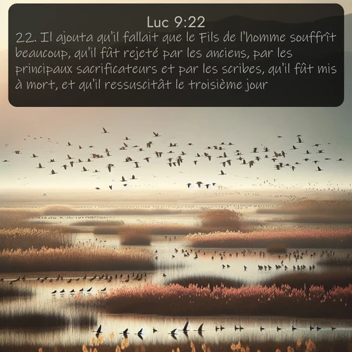 Segond Évangile selon Luc  ; image nature: image avec le verset biblique :Il ajouta qu&#039;il fallait que le Fils de l&#039;homme souffrît beaucoup, qu&#039;il fût rejeté par les anciens, par les principaux sacrificateurs et par les scribes, qu&#039;il fût mis à mort, et qu&#039;il ressuscitât le troisième jour. ;  ; 9:22