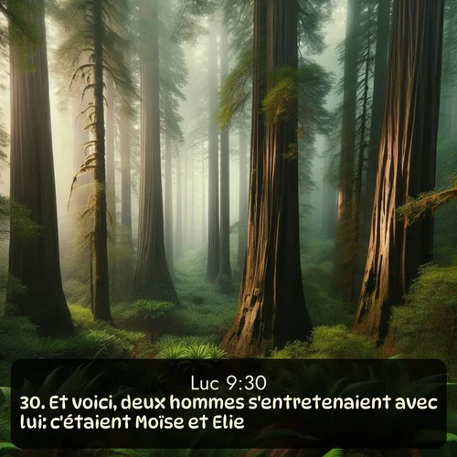 Segond Évangile selon Luc  ; image nature: image avec le verset biblique :Et voici, deux hommes s&#039;entretenaient avec lui: c&#039;étaient Moïse et Elie, ;  ; 9:30