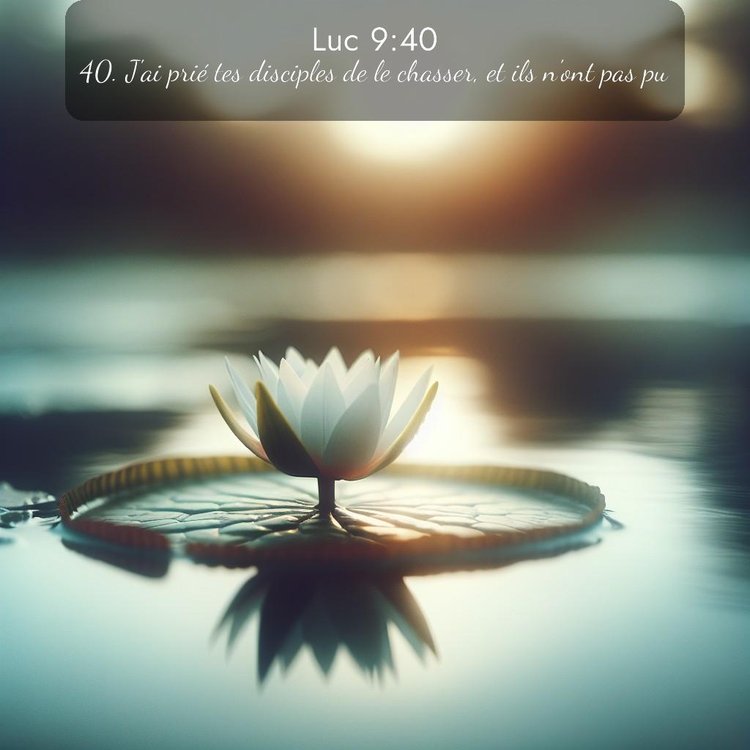 image nature avec verset biblique de la Bible