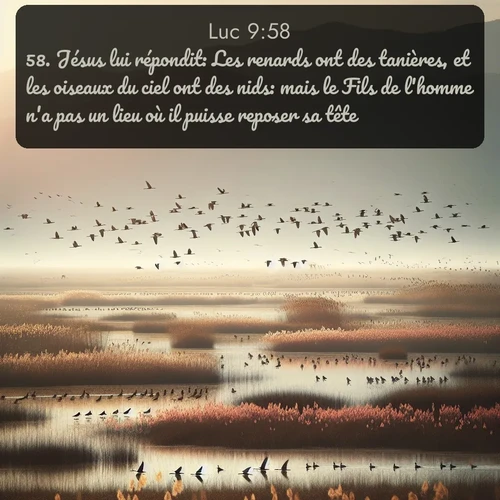 Segond Évangile selon Luc  ; image nature: image avec le verset biblique :Jésus lui répondit: Les renards ont des tanières, et les oiseaux du ciel ont des nids: mais le Fils de l&#039;homme n&#039;a pas un lieu où il puisse reposer sa tête. ;  ; 9:58