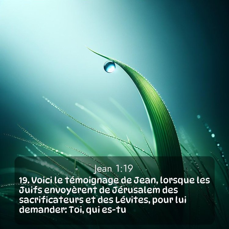 Segond Évangile selon Jean 1:19