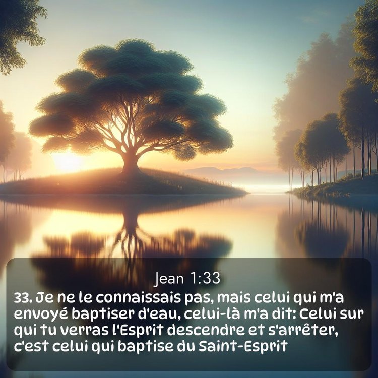 Segond Évangile selon Jean 1:33