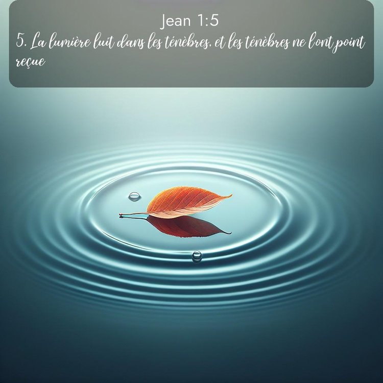 Segond Évangile selon Jean 1:5